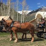 Telluride Sleighs and Wagons