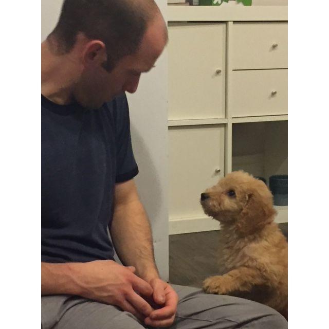 First night with Finley! (2017)