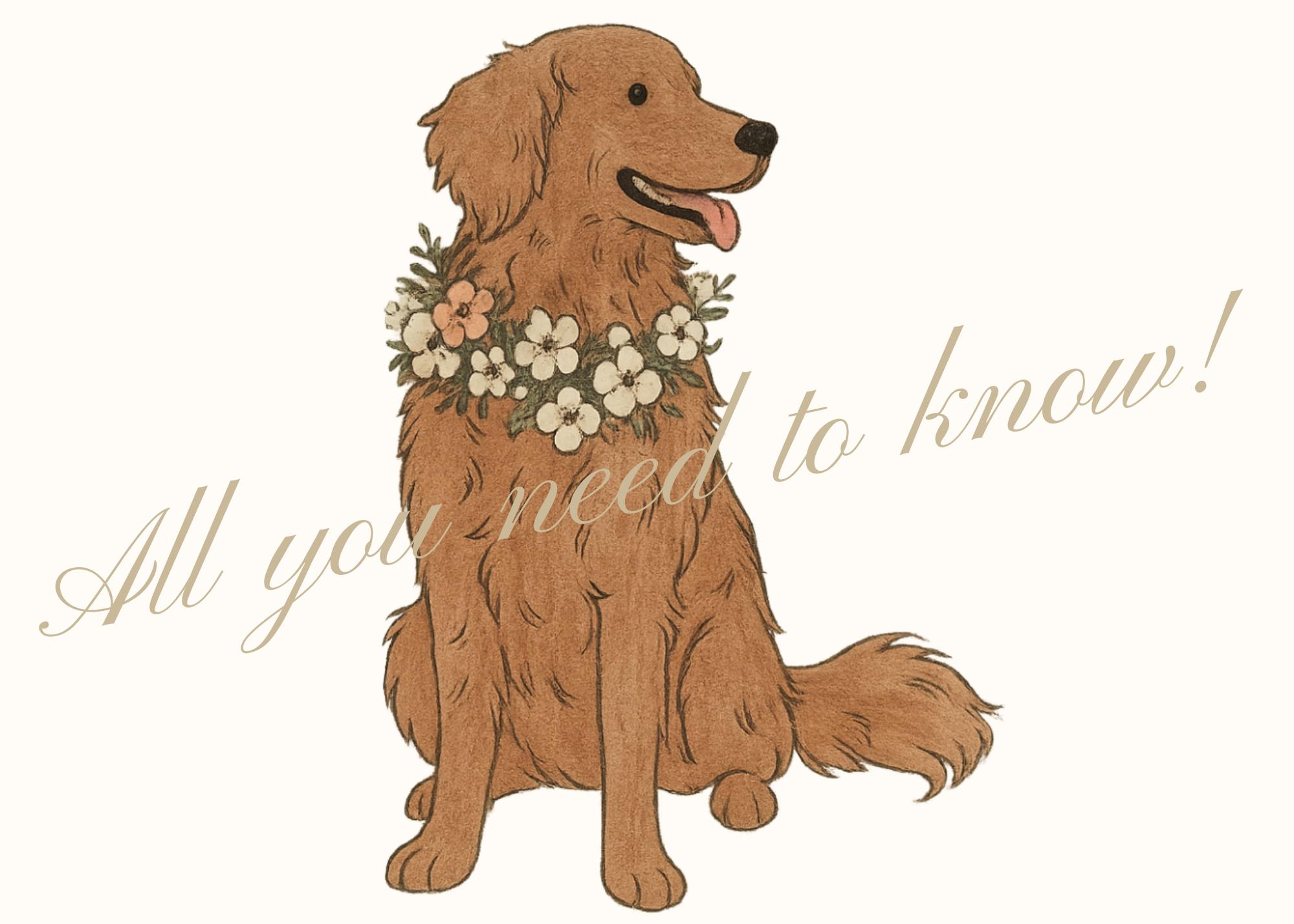 The Wedding Website of Cassandra Carreau and Daniel McCord