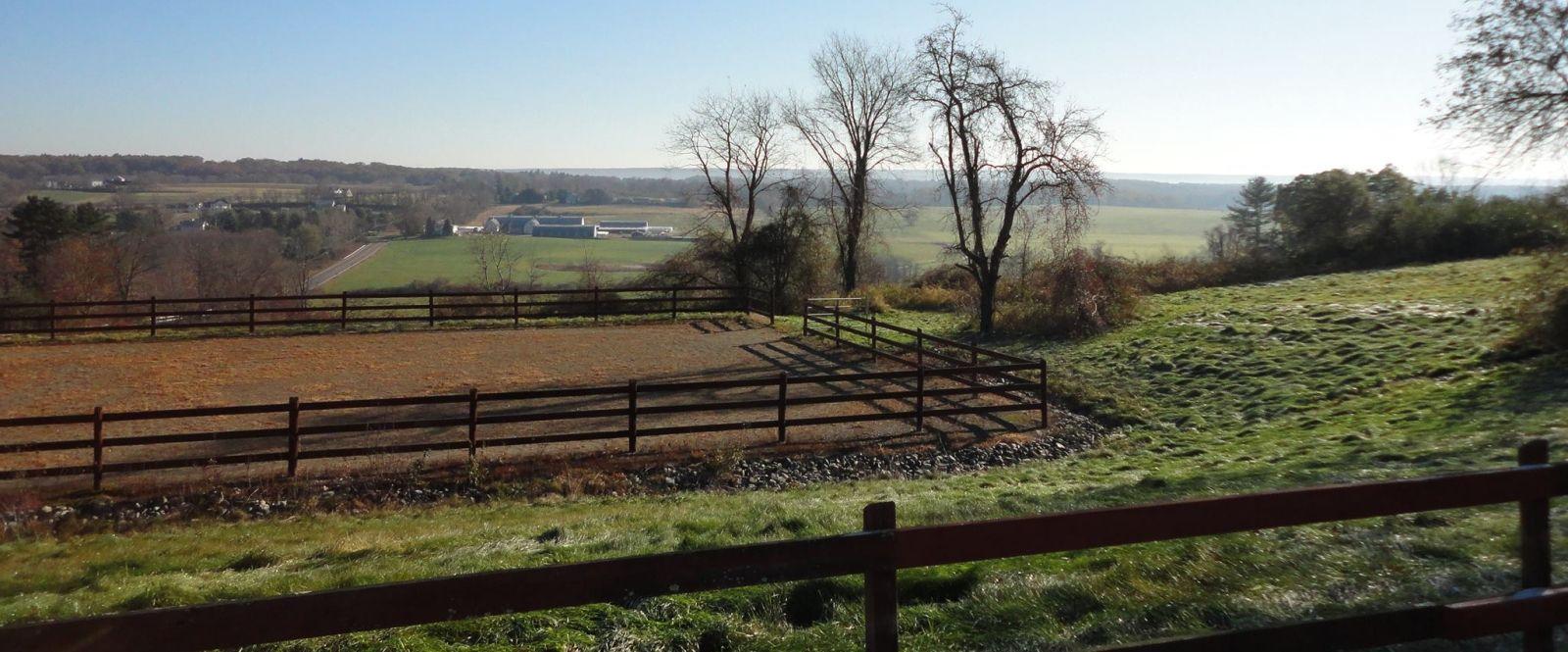 The Wedding Website of Rebecca Barry and Michael Slavsky