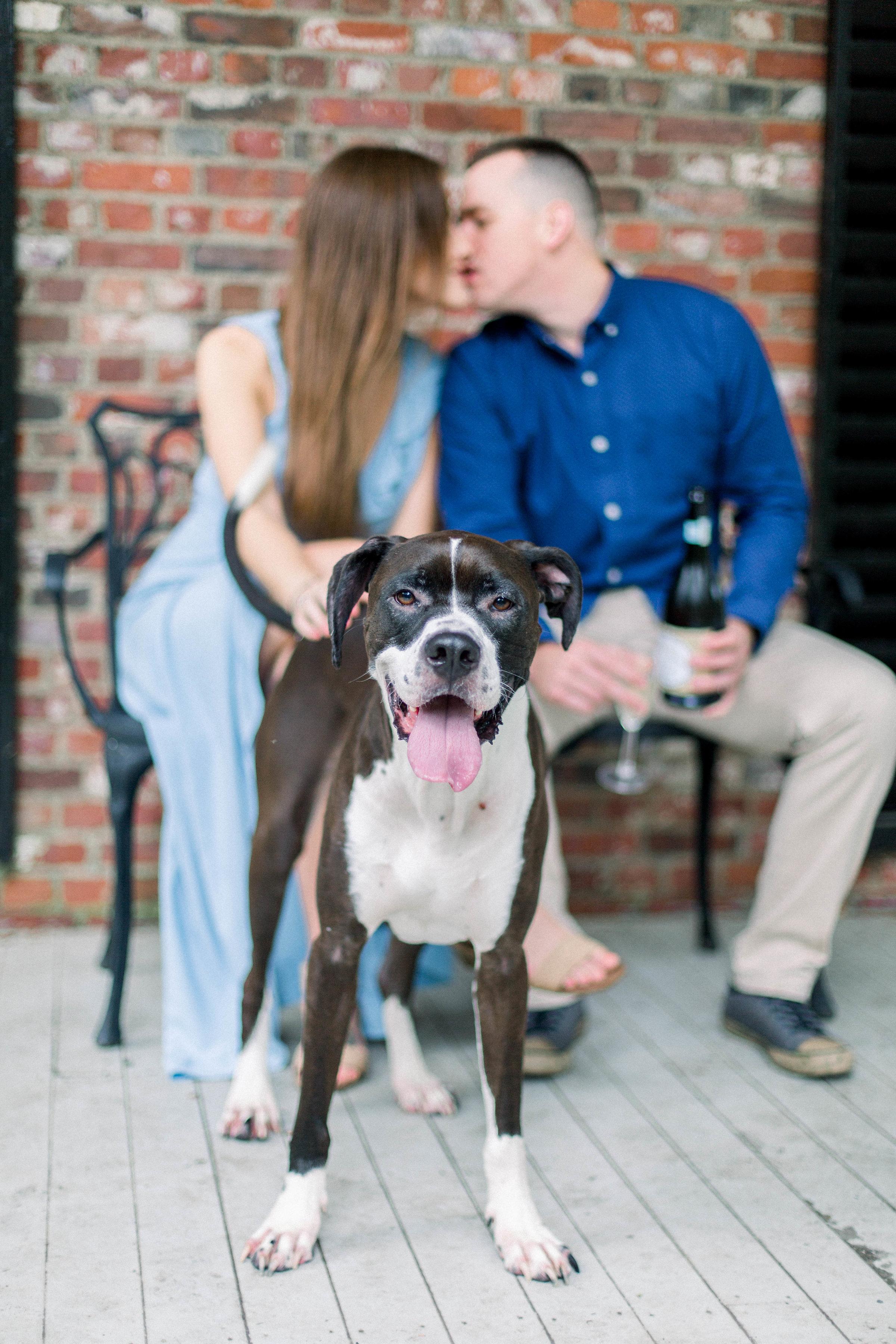 The Wedding Website of Tara Pereira and Philip Haley