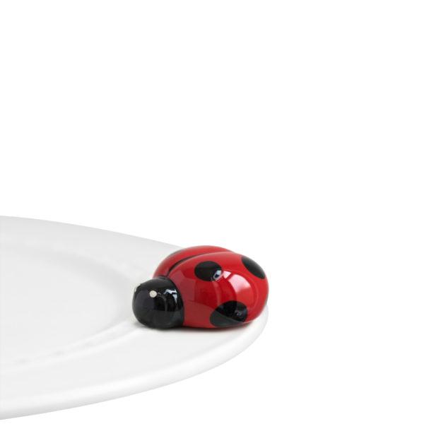 mini: lil’ ladybug