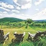 Northern VA Wineries