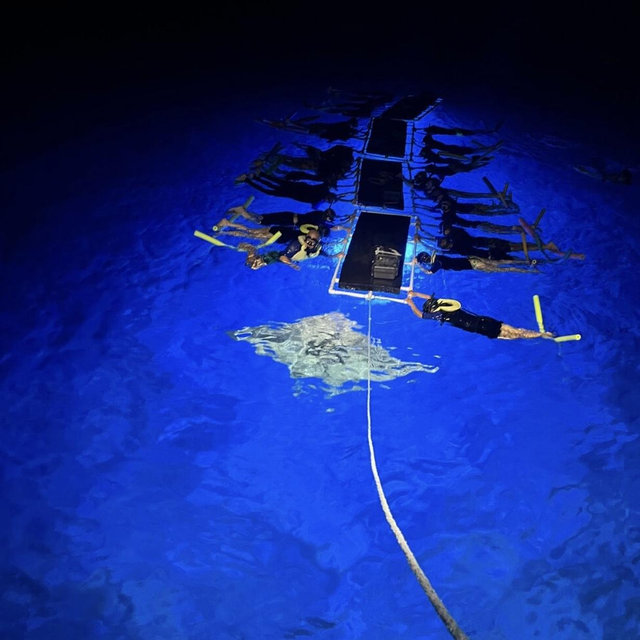 Moonlight Manta Snorkel