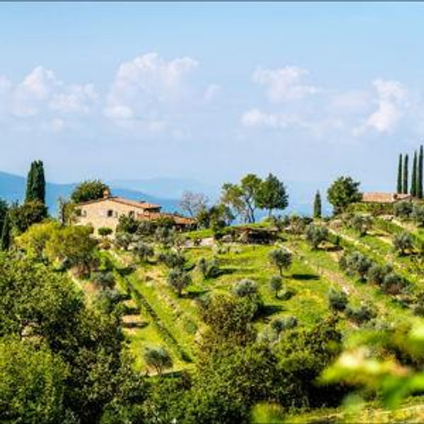 Our Honeymoon Fund - Tuscany, Italy
