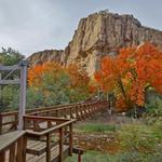 Boyce Thompson Arboretum