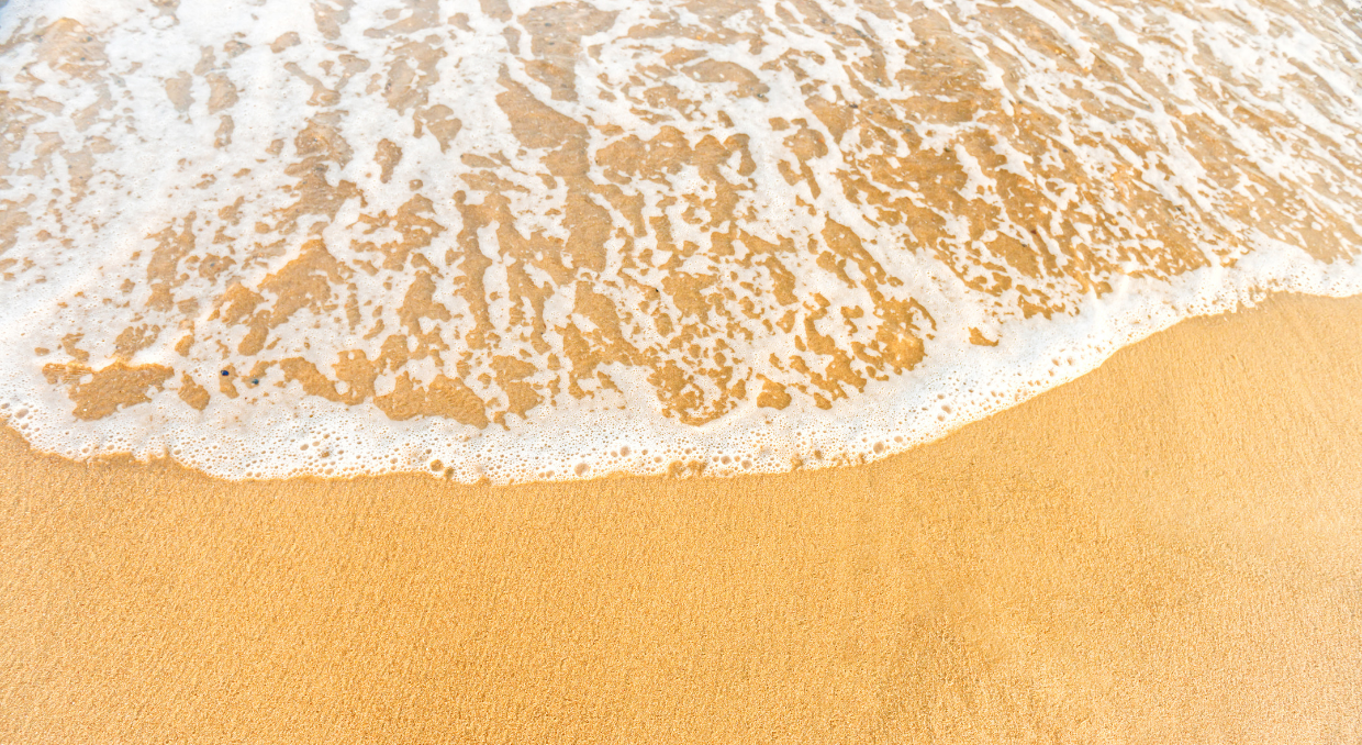Footer image