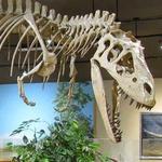 Dickinson Museum Center & Badlands Dinosaur Museum