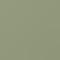 Hunter Mint