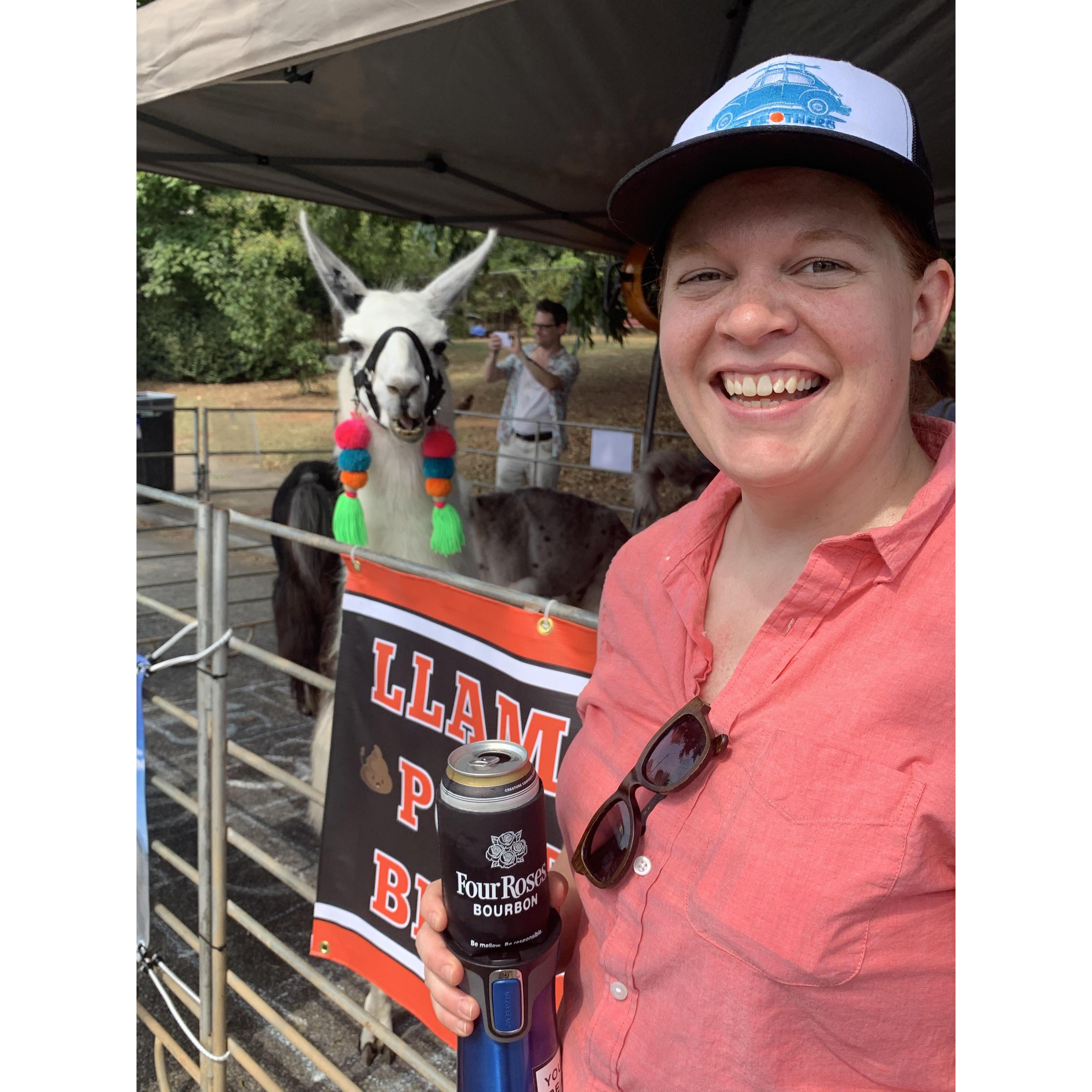 Llama poop bingo at the East Atlanta Strut, Fall 2019