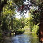 Parc du Moulin à Tan