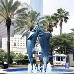 Downtown Aquarium