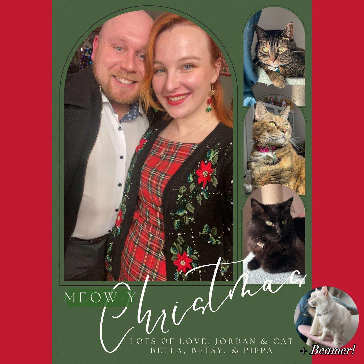Christmas cards are better with cat puns