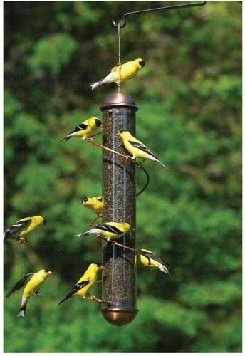 Copper Spiral Nyjer (Thistle) Feeder - 17 inch