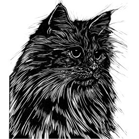 The Wedding Website of Odalis Sanchez and Angel Estrella