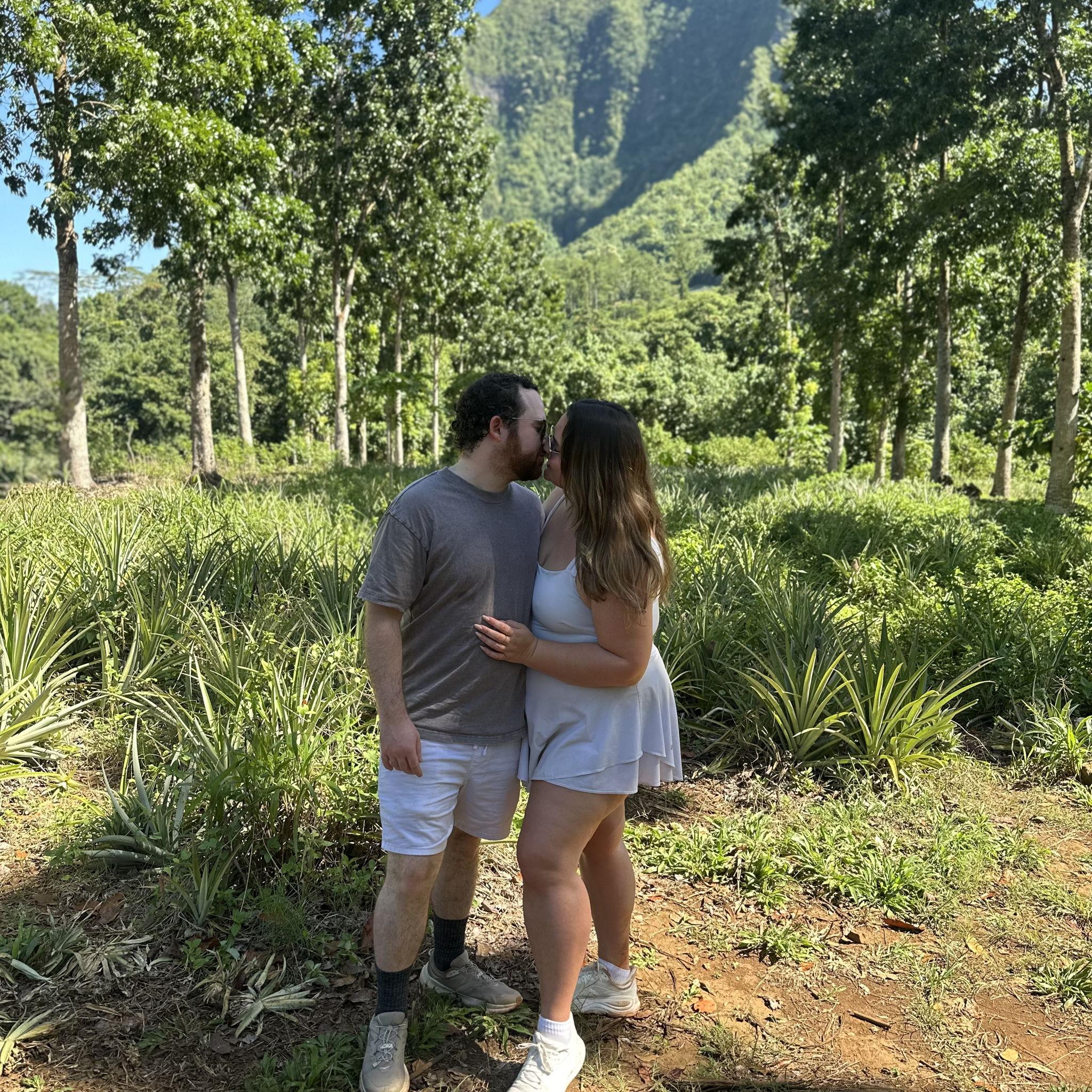 Pineapple farm in French Polynesia