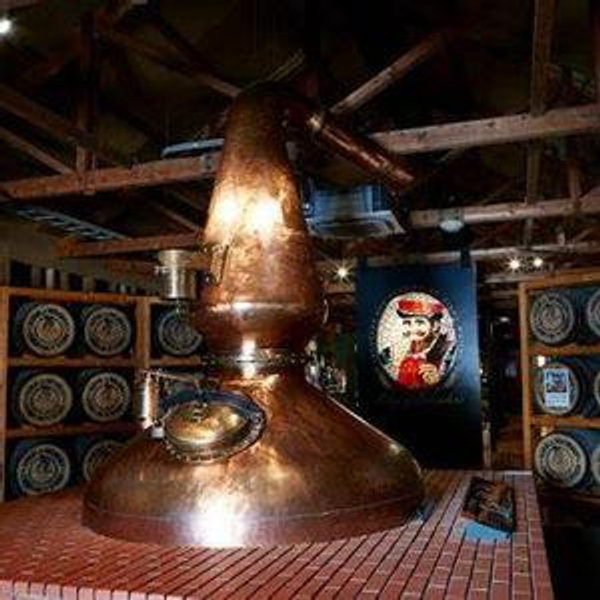 Japanese Whiskey Distillery Tour