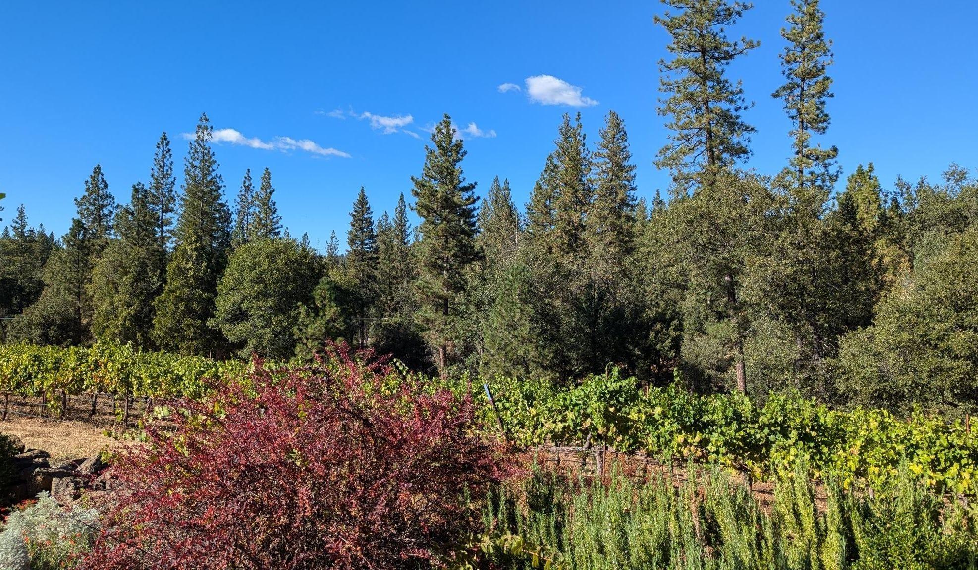 Hero Slideshow Image 0