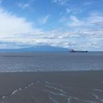 Tony Knowles Coastal Trail