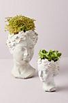 Grecian Bust Pot Large