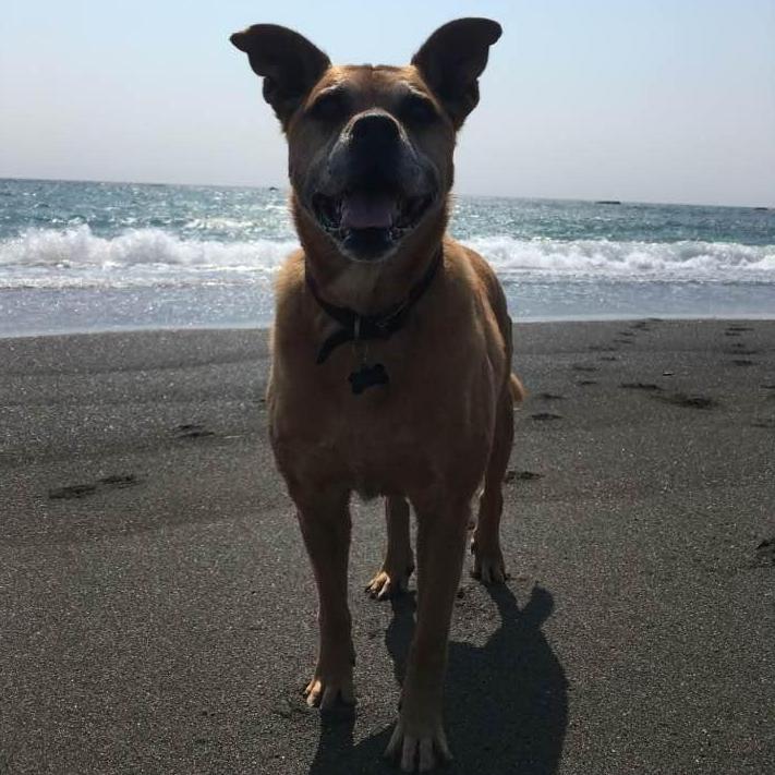 Our heart and soul, our favorite bud, our ring bearer, CHARLIE!!!