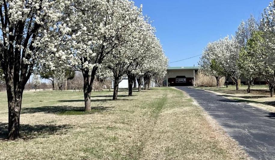 The Wedding Website of Shelby Ann Waldron and Jake Sullivan