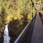 Drift Creek Falls Trail 1378 (Trail Head)