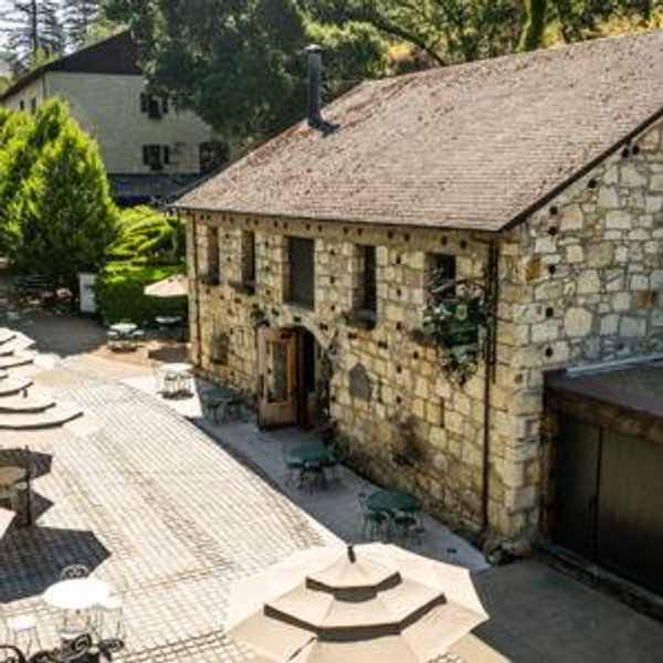 Buena Vista Winery Membership