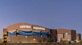 OdySea Aquarium