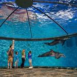🦓 Indianapolis Zoo & White River Gardens