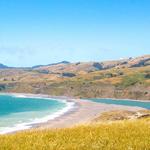 Sonoma Coast State Park
