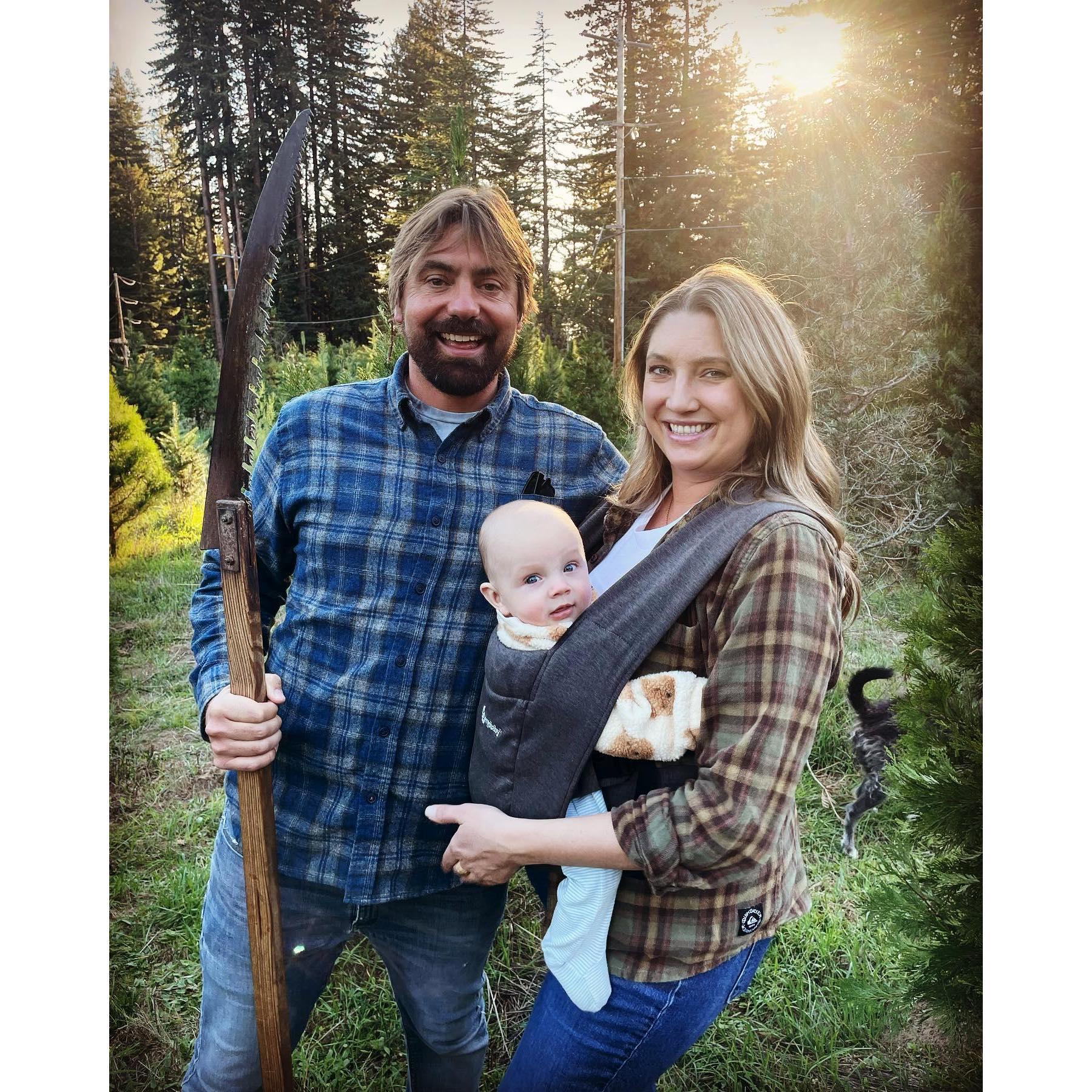 Christmas tree hunting!