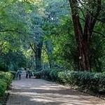 Nairobi Arboretum