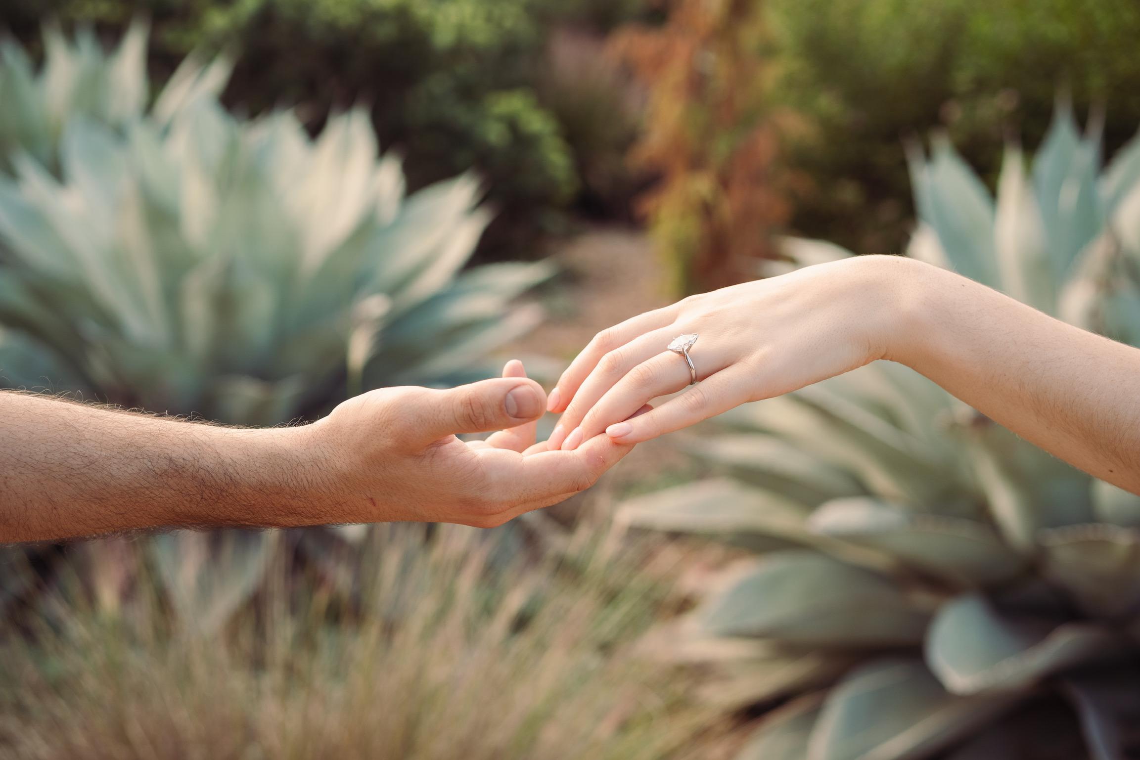 The Wedding Website of Madeleine Feltey and Carson Kraatz