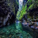 Oneonta Gorge