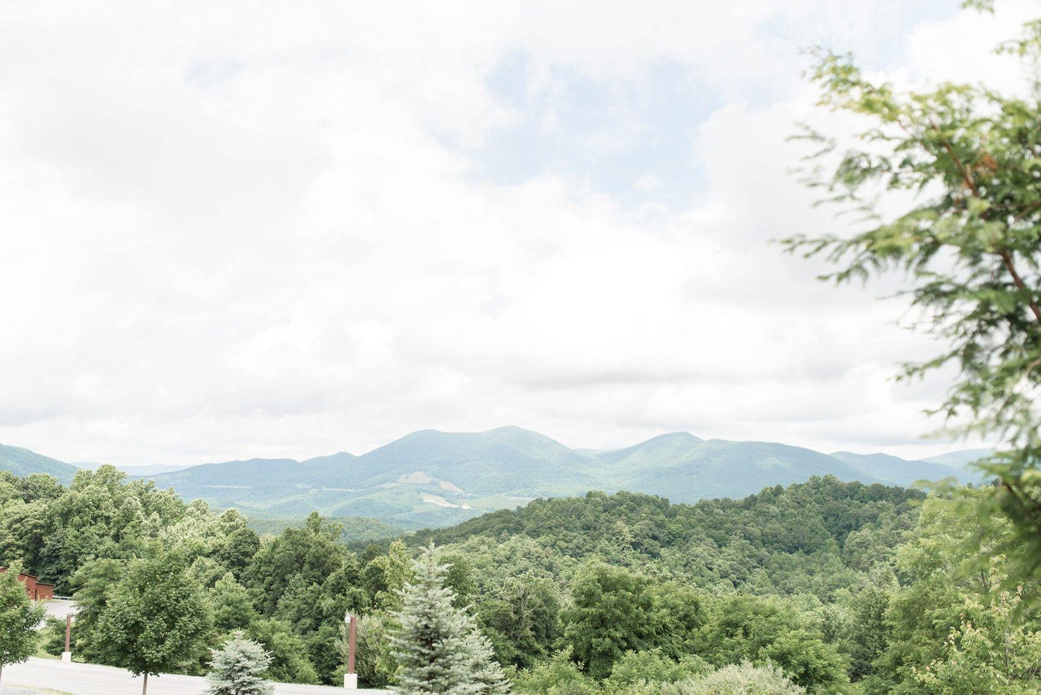 The Wedding Website of Caeley Miller and John Zemites