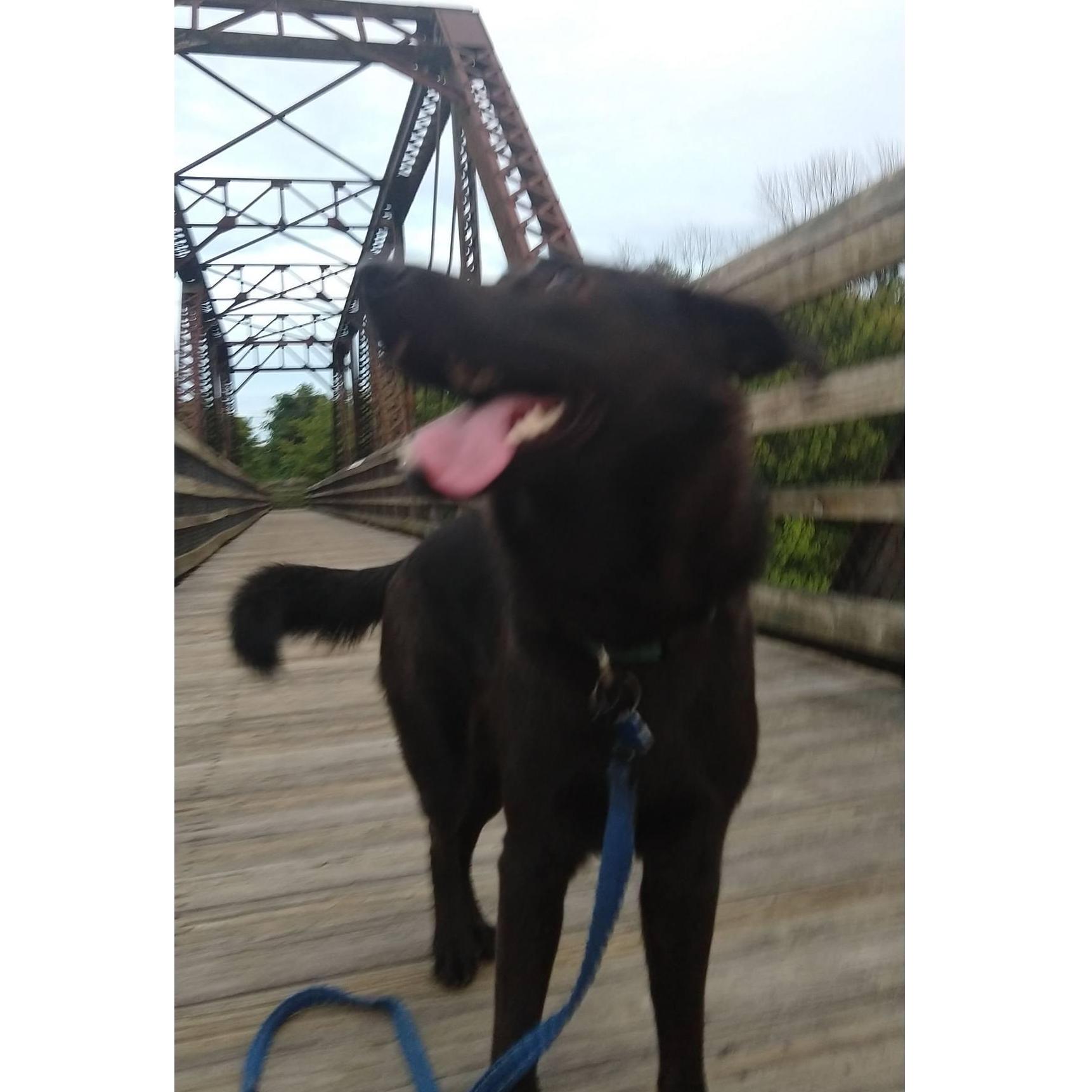 Happy pup!