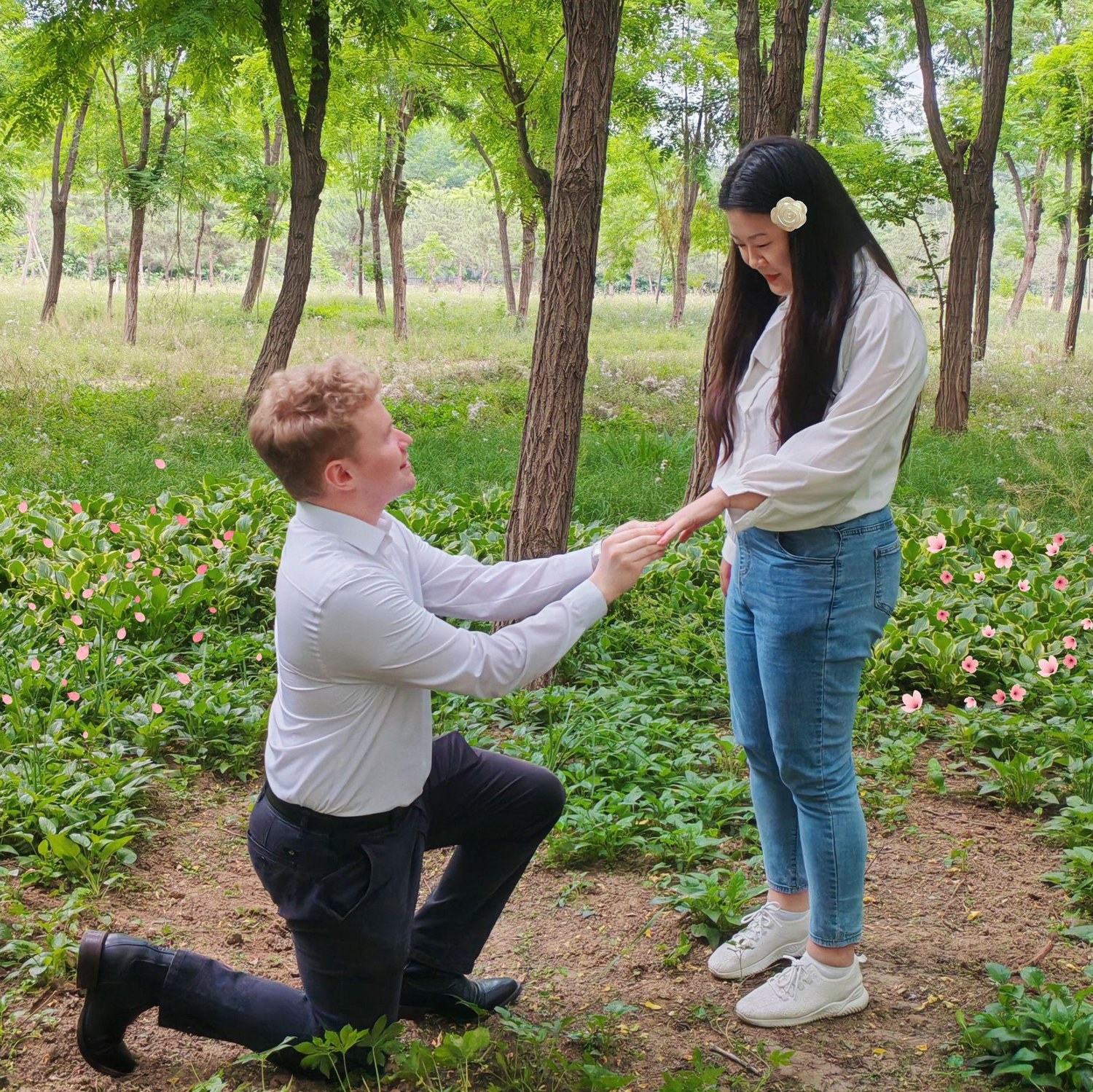 Proposal