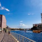 Tampa Riverwalk