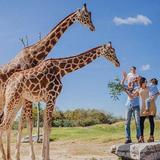 Africam Safari