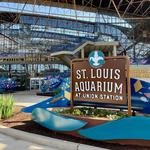 St. Louis Aquarium at Union Station