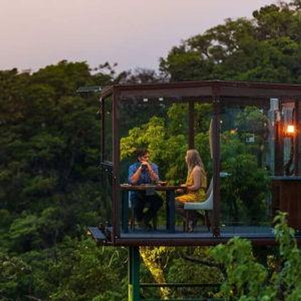 San Lucas Treetop Dining Experience