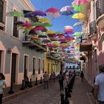 🚶‍♀️Tours & Experiences