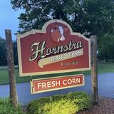 Hornstra Dairy Farm