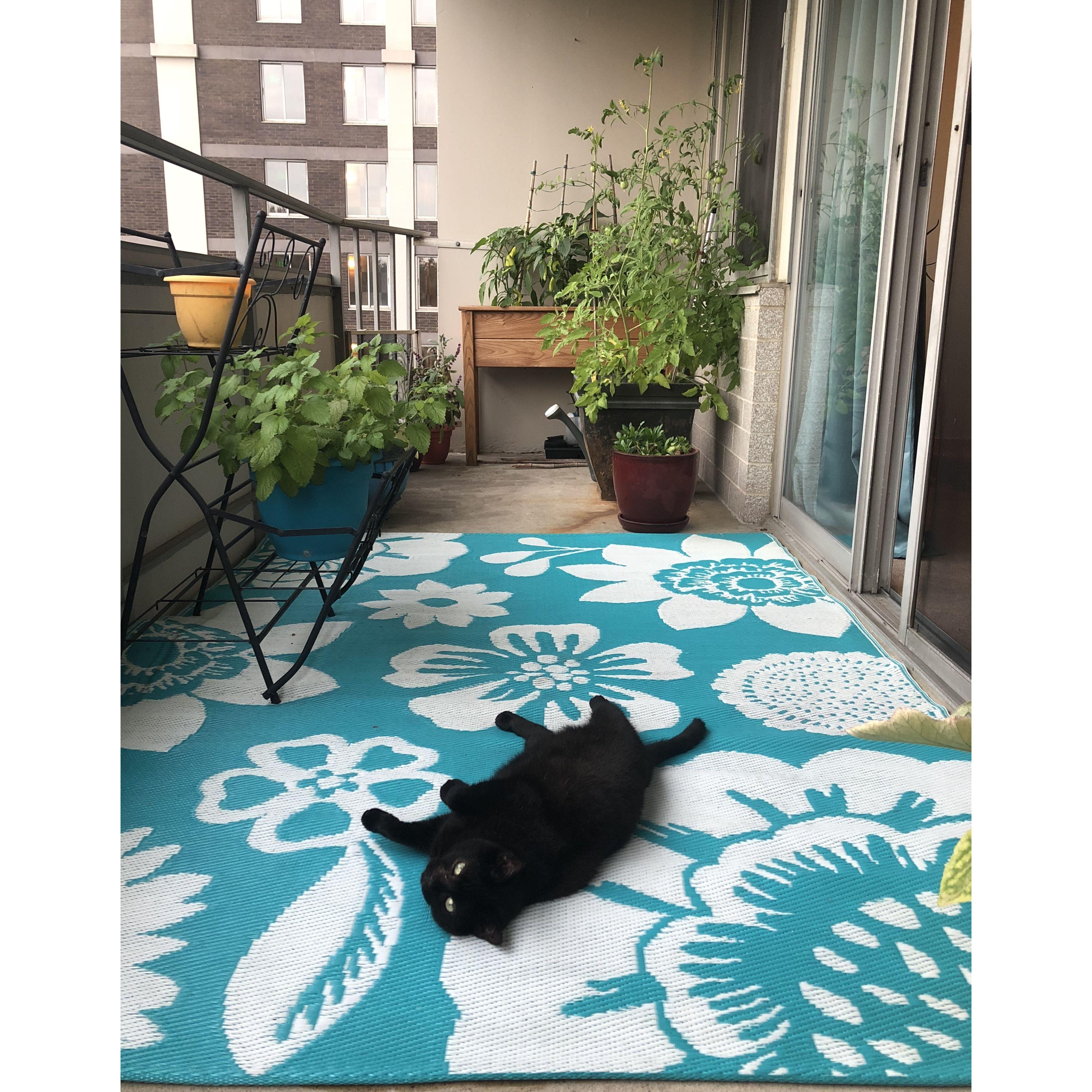 Bobbi Chillin' on our patio