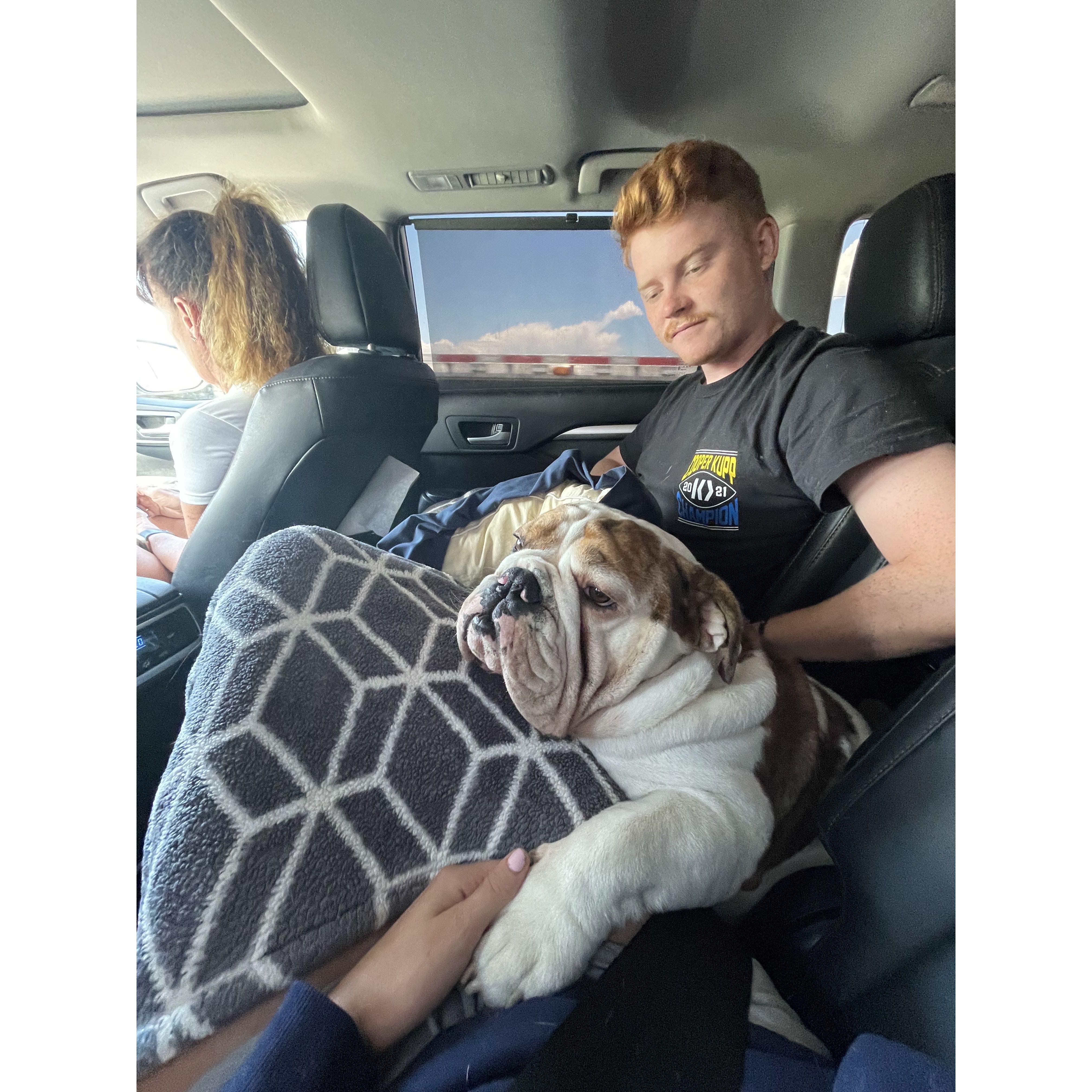 Road trip home from Montana!