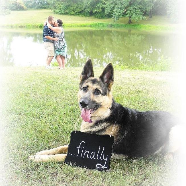 Engagement Photos Summer 2018 - Chloe thought her parents should have gotten engaged a long time ago ;)