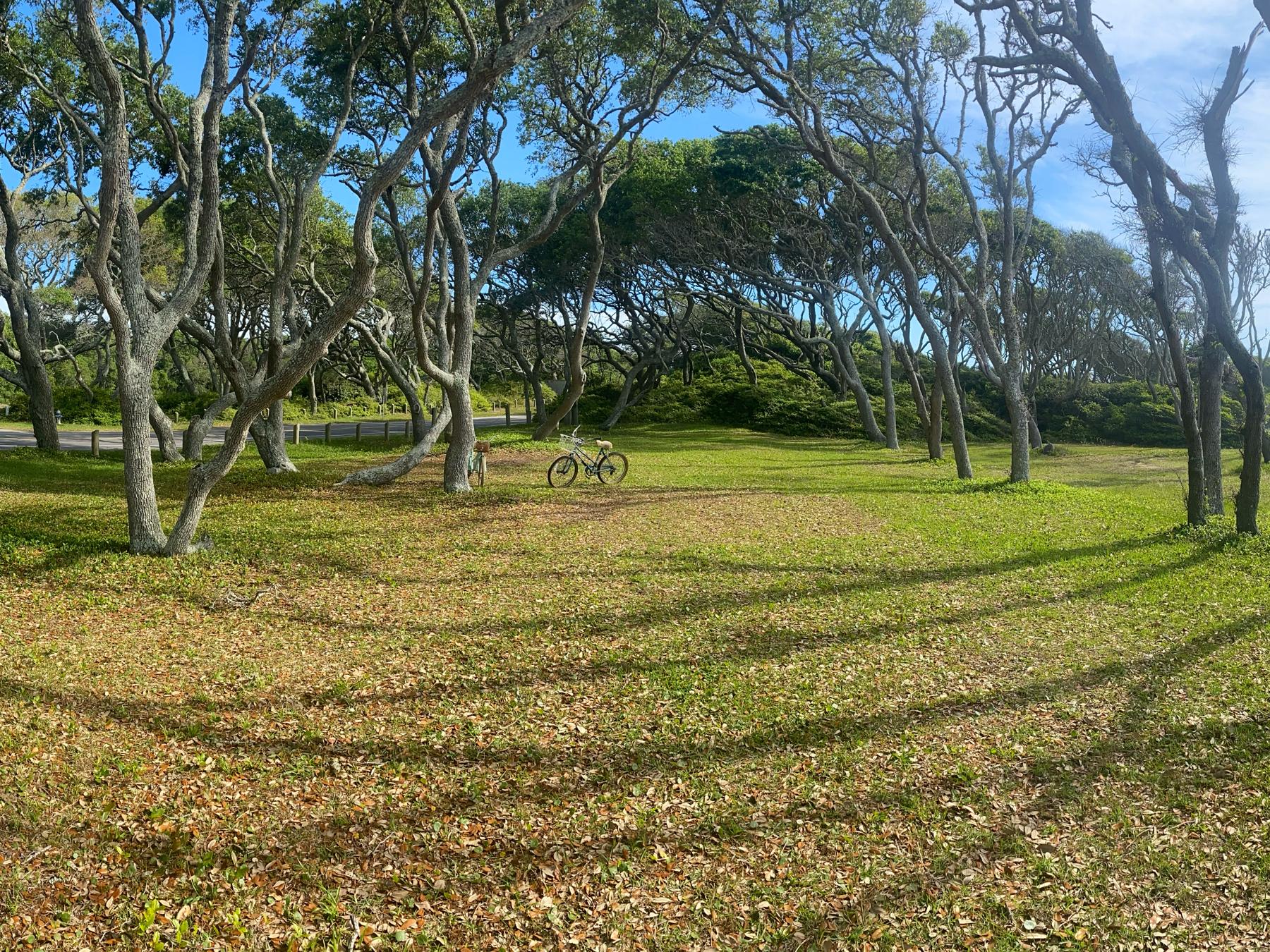 The Wedding Website of Michelle Lees and Joey Lees