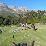 Horse About Trails & Livery