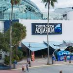The Florida Aquarium